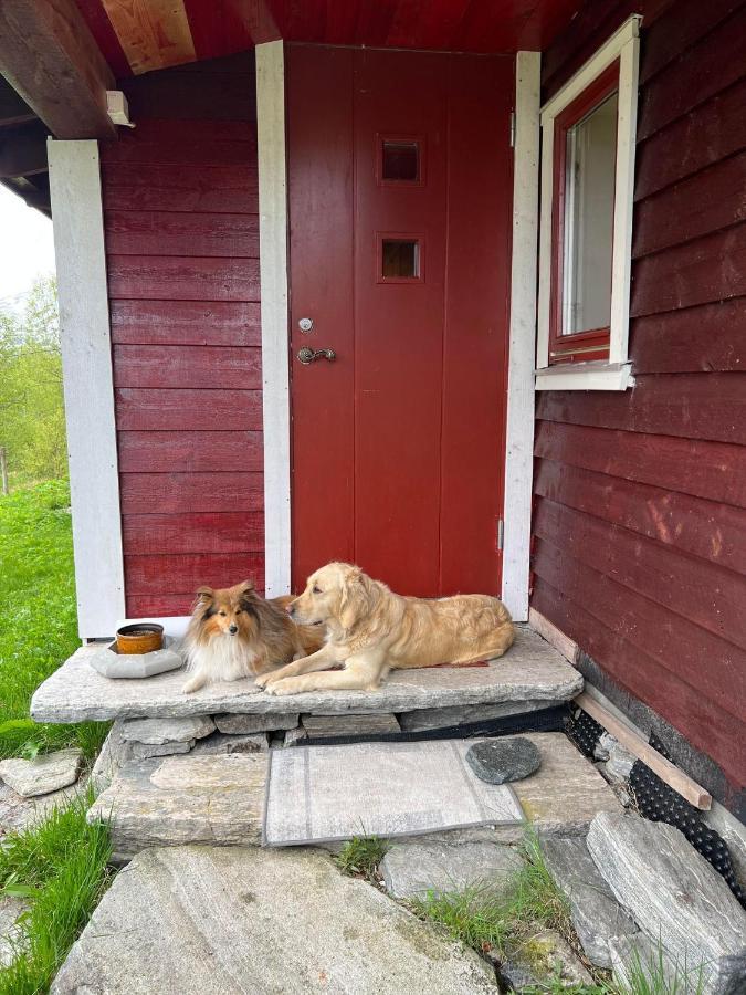 Appartamento Bua Viksdalen Esterno foto